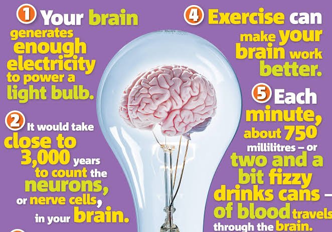 10 interesting facts about brain